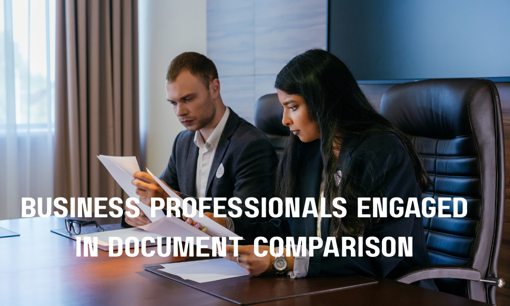 Business Professionals Comparing Documents