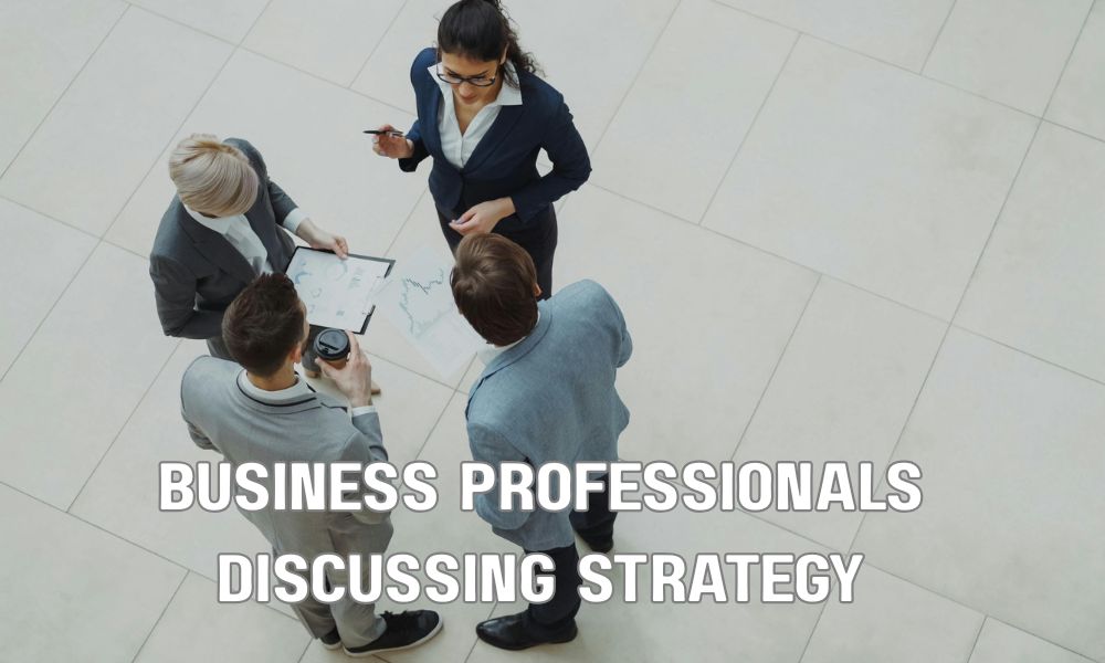 Business Professionals Discussing Strategy