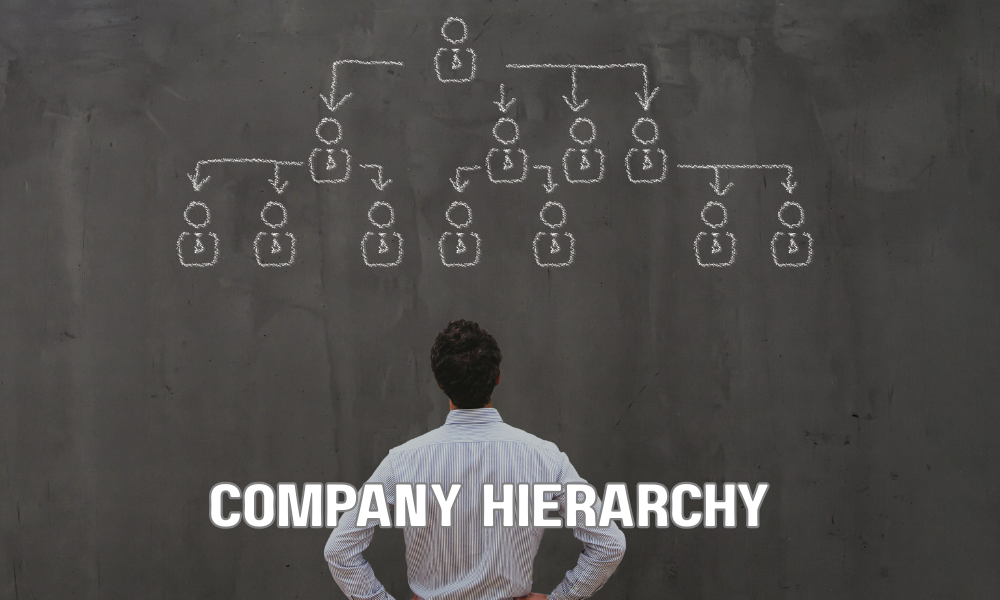 Company Hierarchy