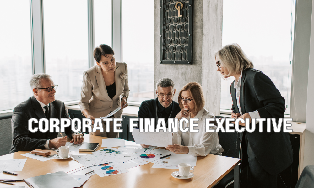 Corporate Finance Executive
