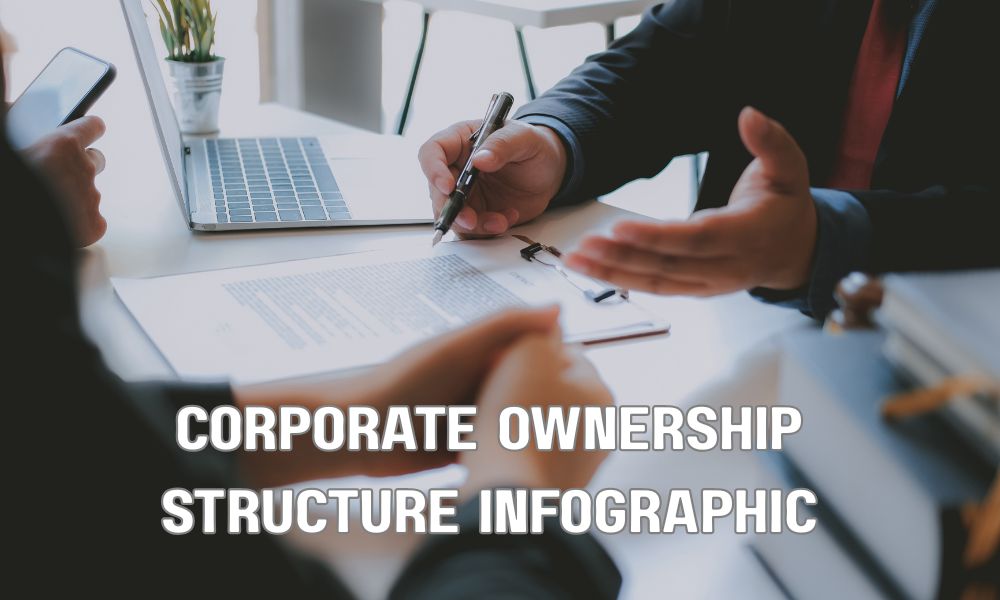 Corporate Ownership Structure Infographic