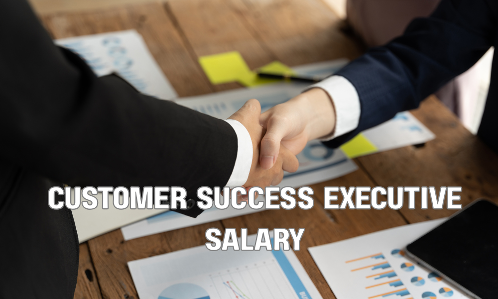 Customer Success Executive Salary
