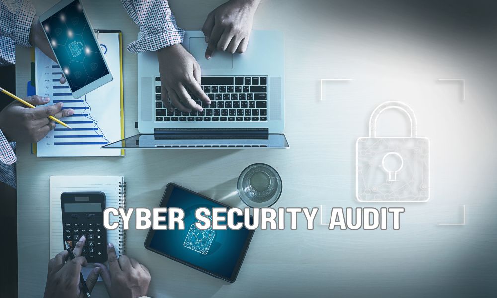 Cyber Security Audit