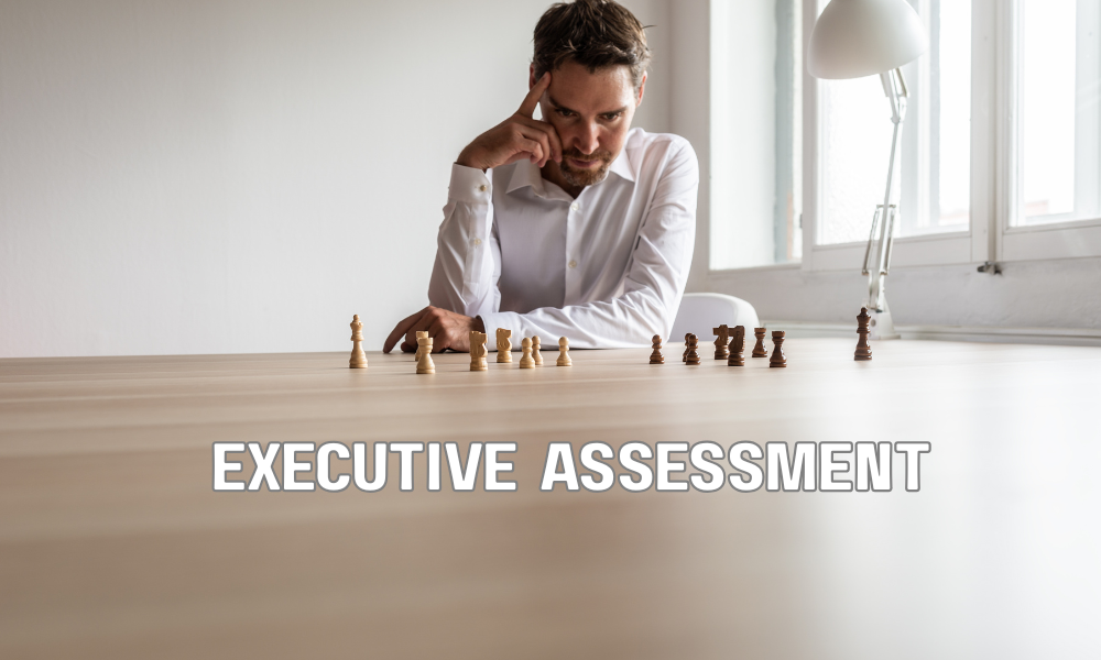 Executive Assessment