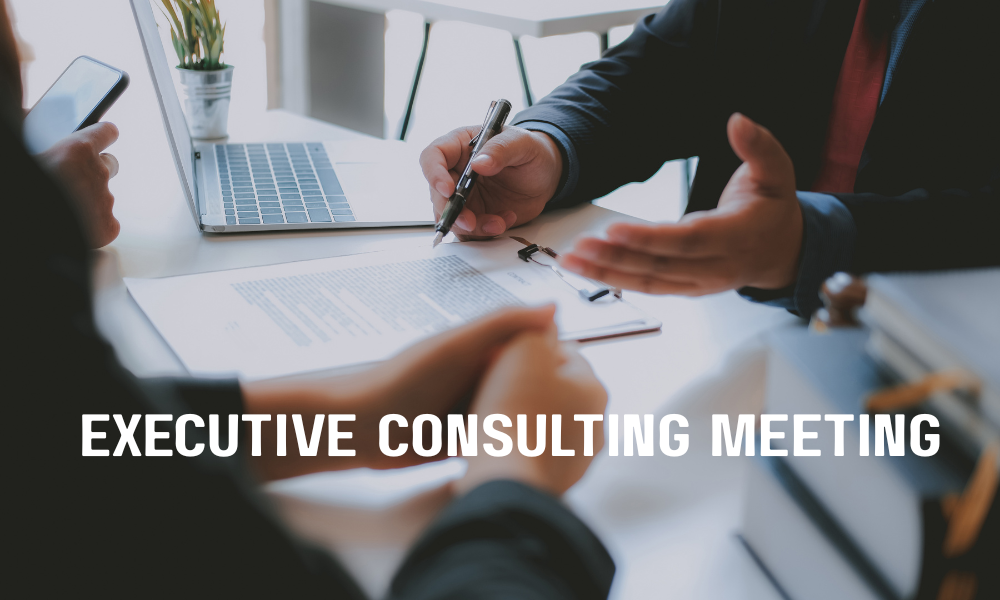 Executive Consulting Meeting