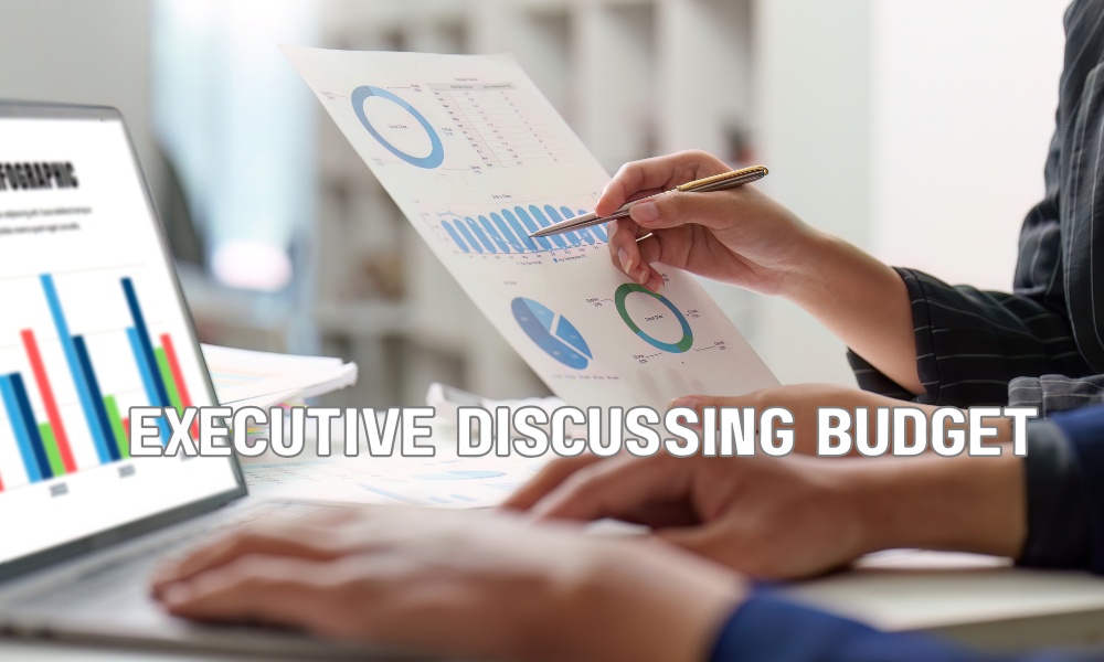 Executive Discussing Budget