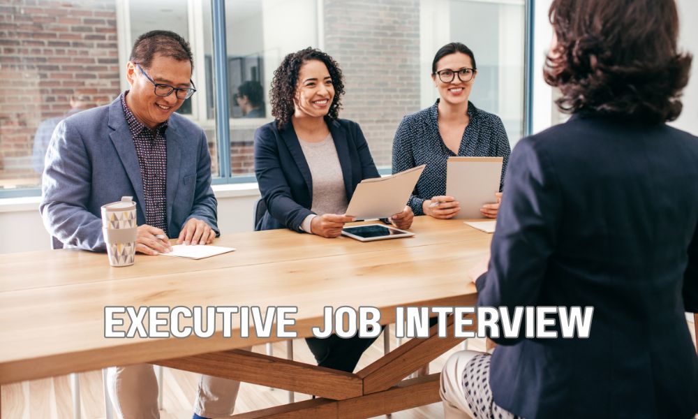 Executive Job Interview