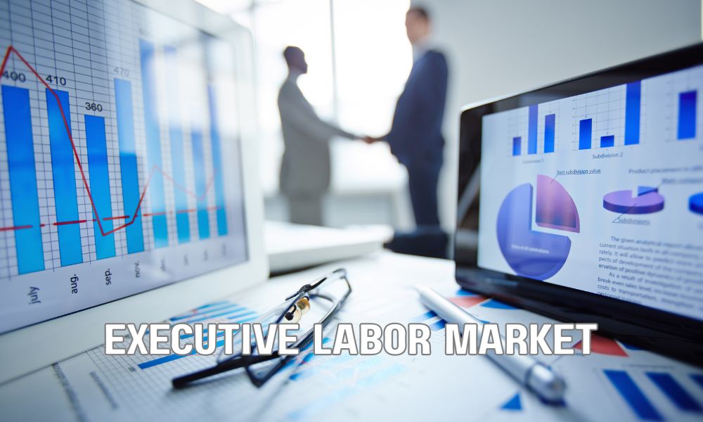 Executive Labor Market