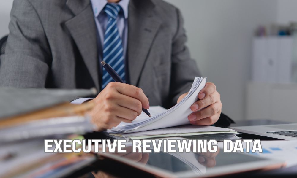 Executive Reviewing Data 1