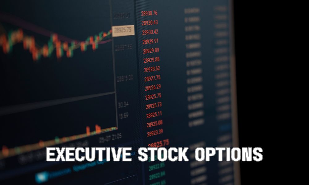 Executive Salary Concept 1