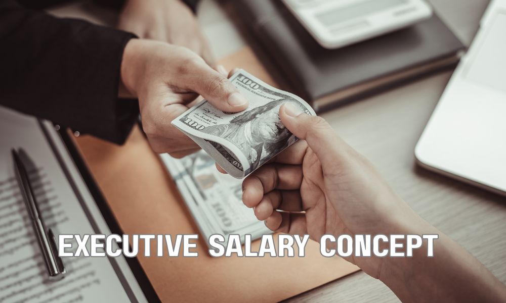 Executive Salary Concept