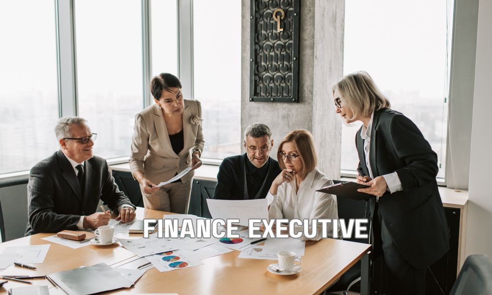 Finance Executive 1