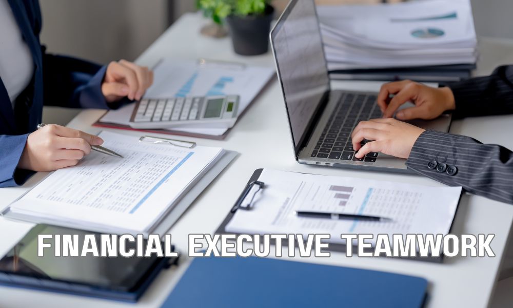 Financial Executive Teamwork