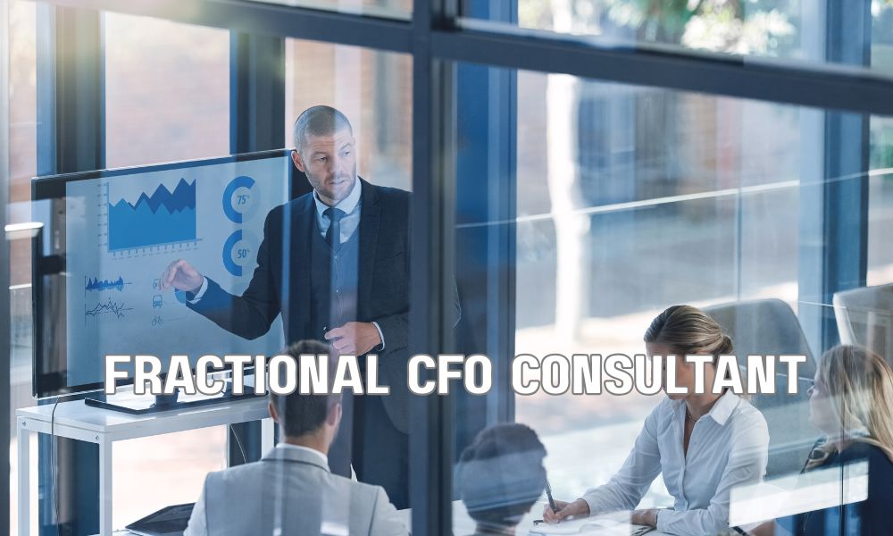 Fractional CFO Consultant