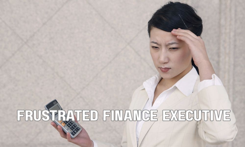 Frustrated Finance Executive