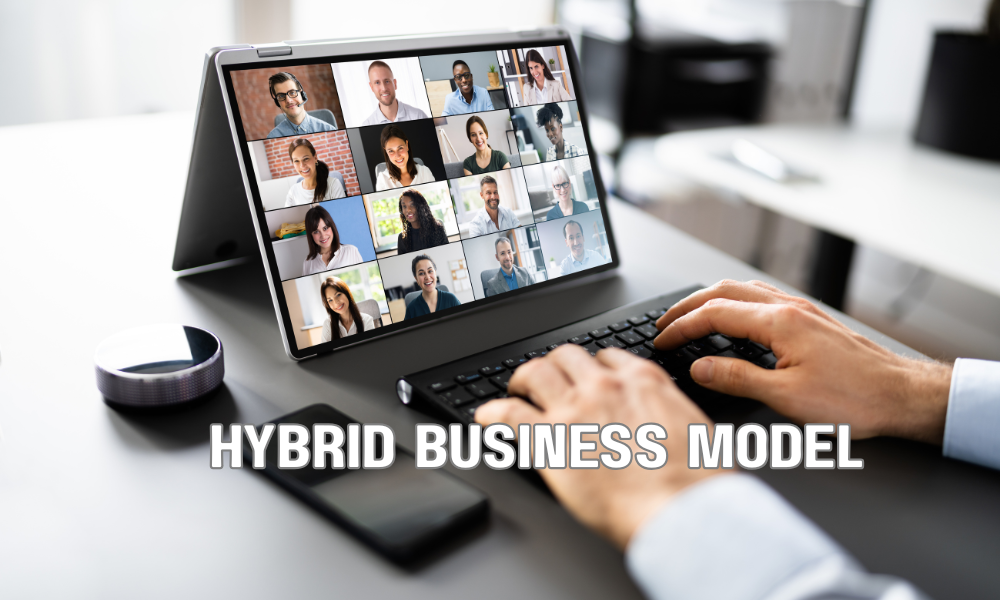 Hybrid Business Model