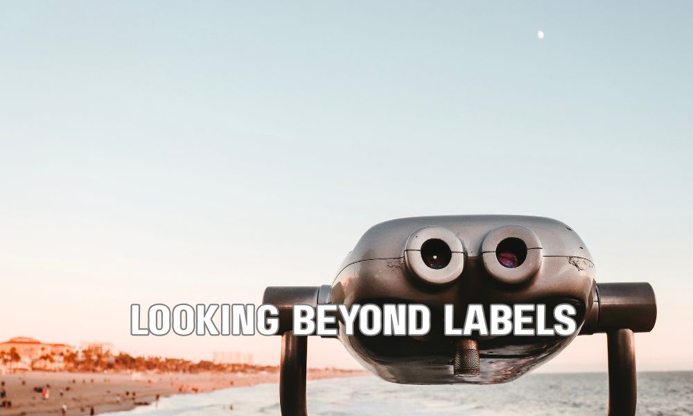 Looking Beyond Labels