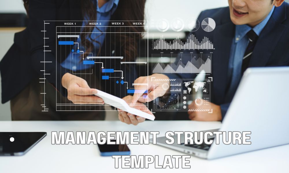 Management Structure Template