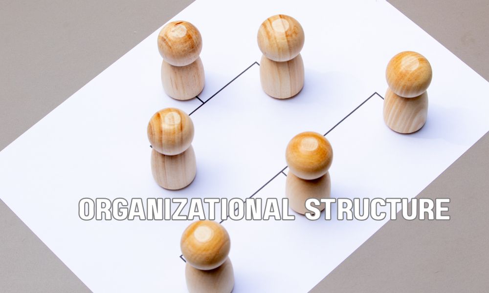 Organizational Structure