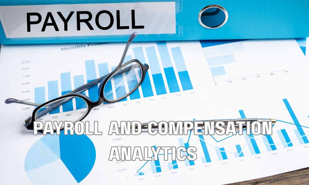 Payroll And Compensation Analytics