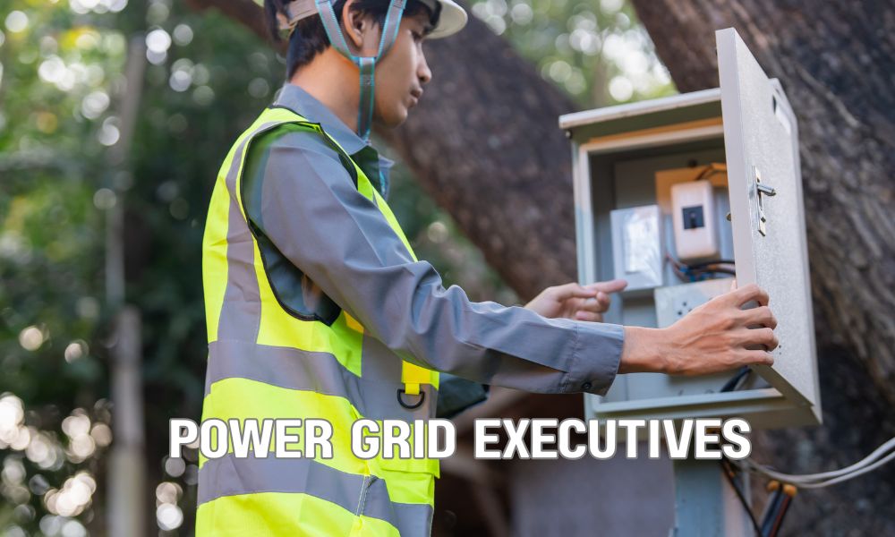 Power Grid Executives