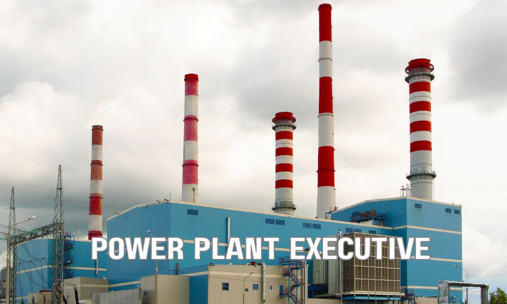 Power Plant Executive