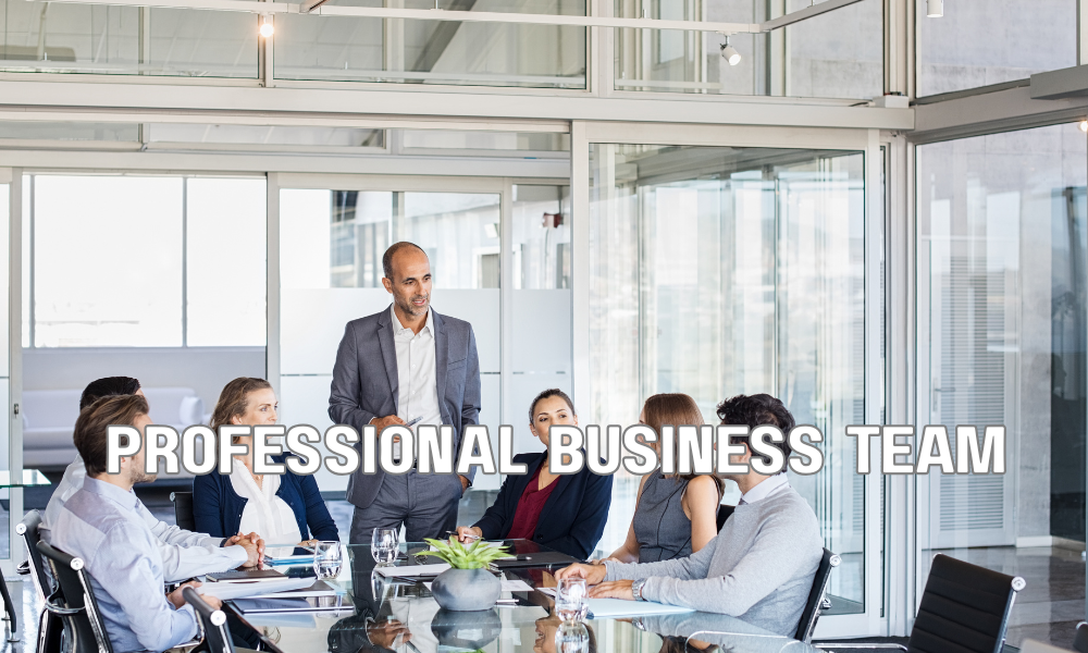 Professional Business Team