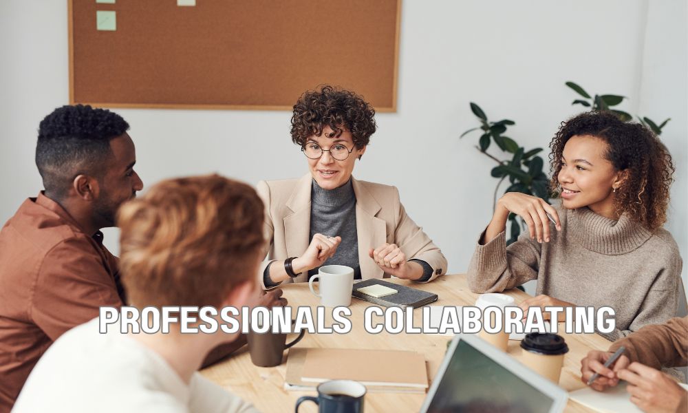 Professionals Collaborating 1 1