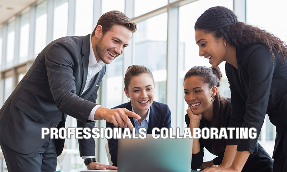 Professionals Collaborating 2