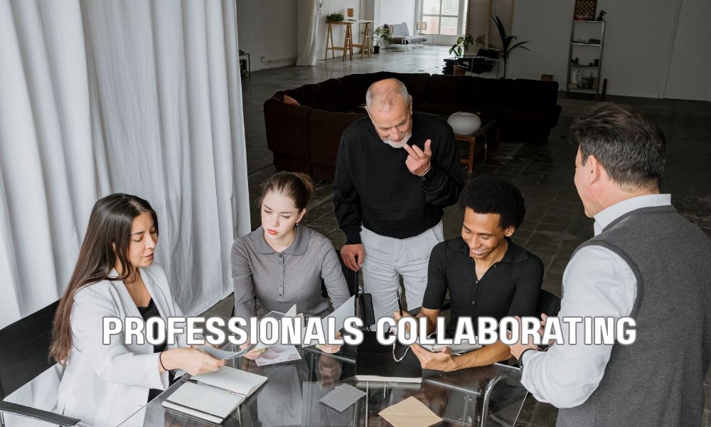Professionals Collaborating 4