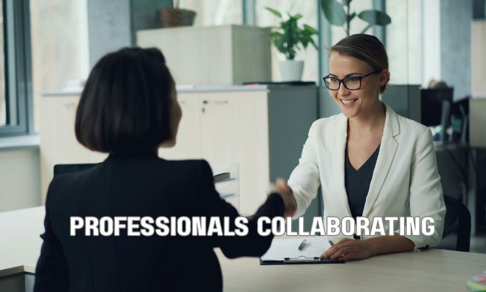 Professionals Collaborating 5
