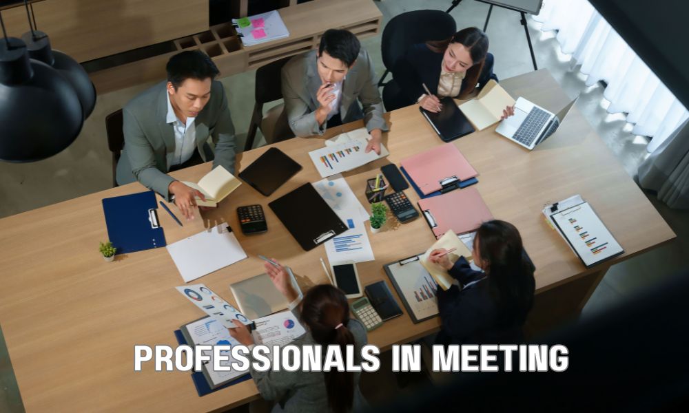 Professionals In Meeting 1 1