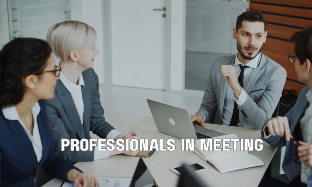 Professionals In Meeting 1