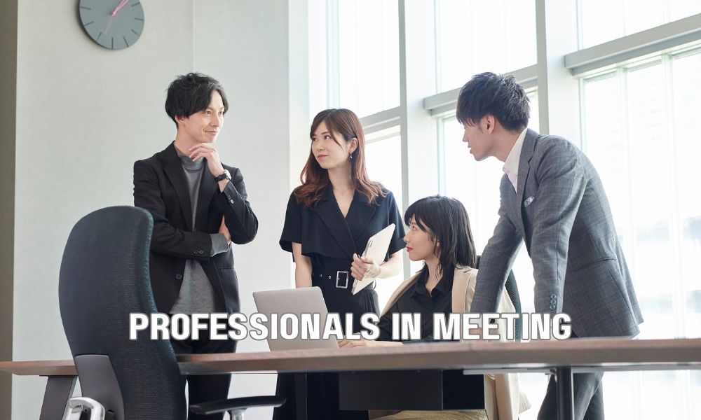 Professionals In Meeting 2