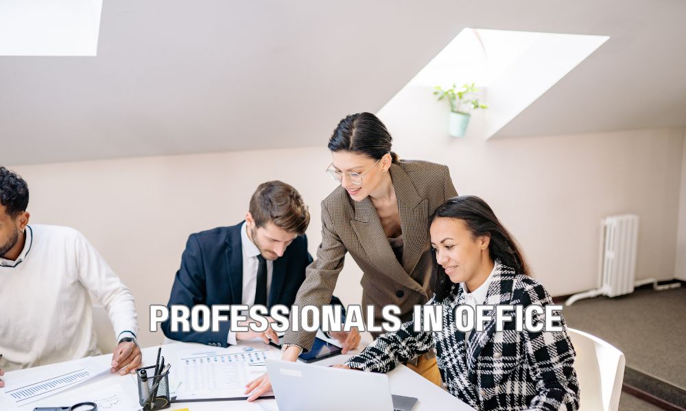 Professionals In Office