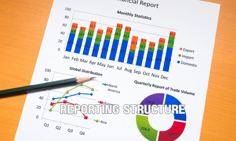 Reporting Structure