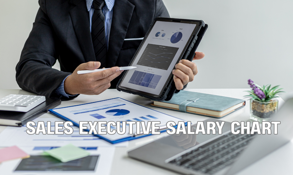 Sales Executive Salary Chart