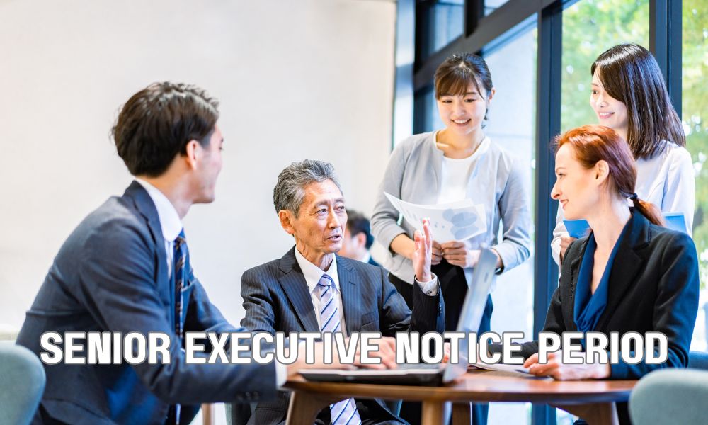 Senior Executive Notice Period