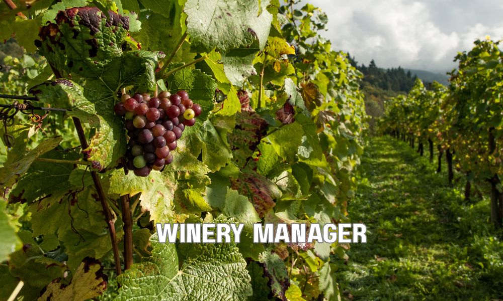 Winery Manager