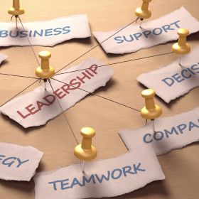 Access To Senior Marketing Leadership