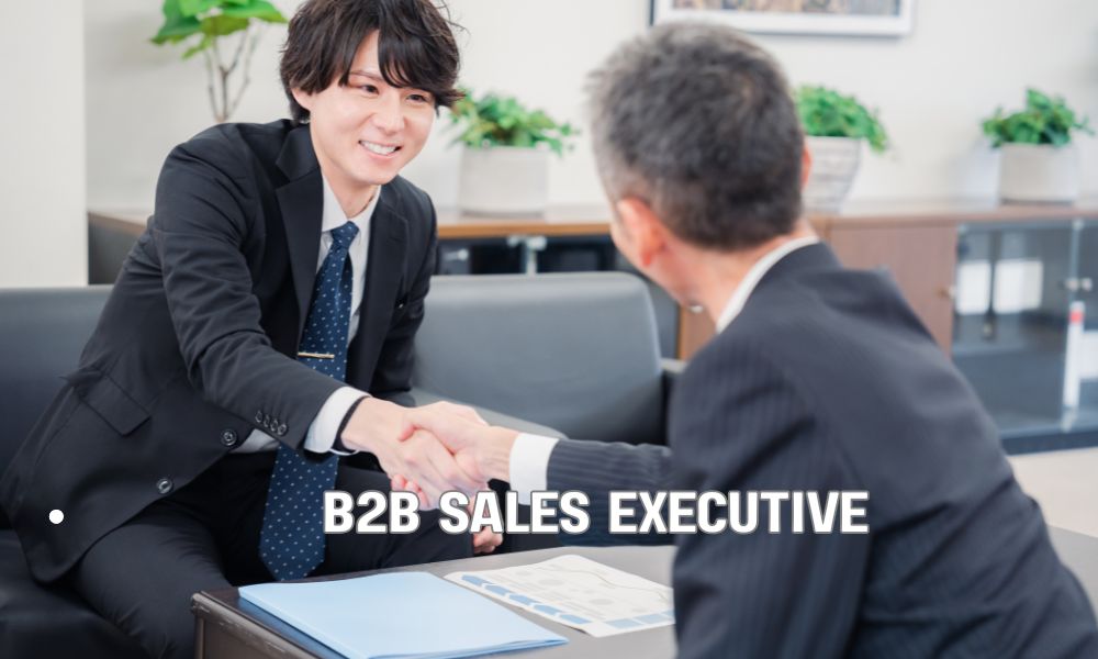 B2B Sales Executive