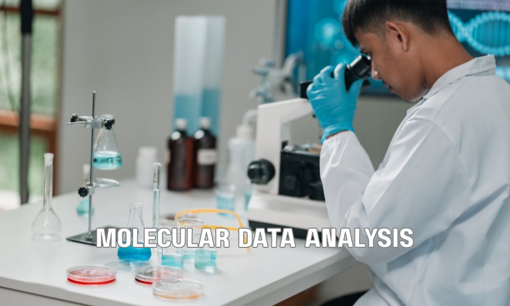 Molecular Data Analysis