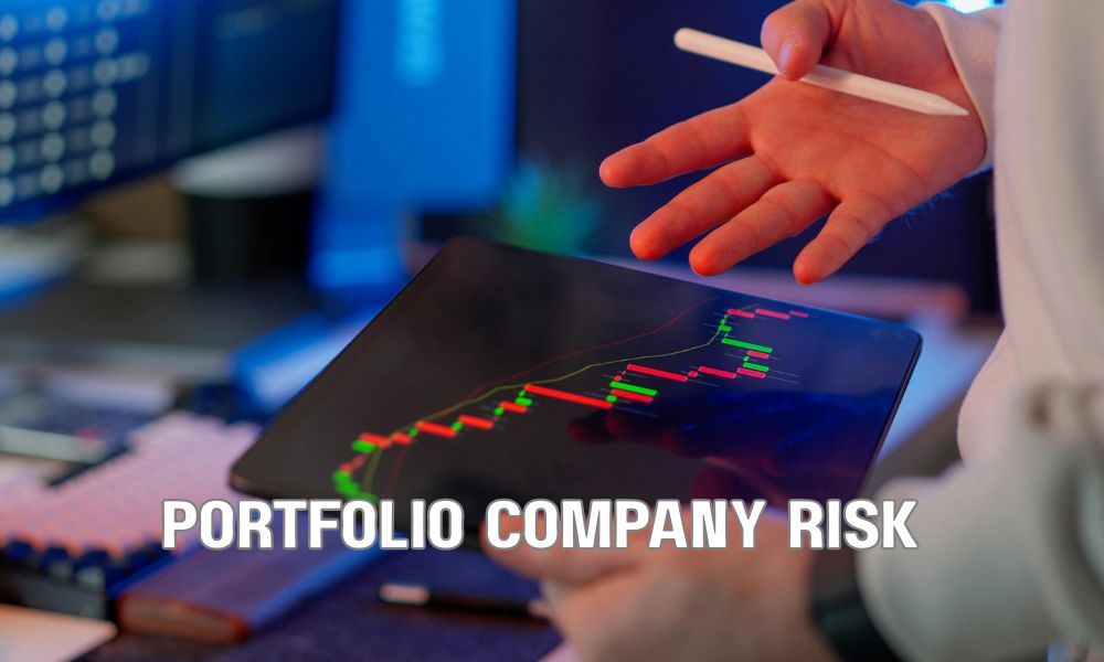 Portfolio Company Risk