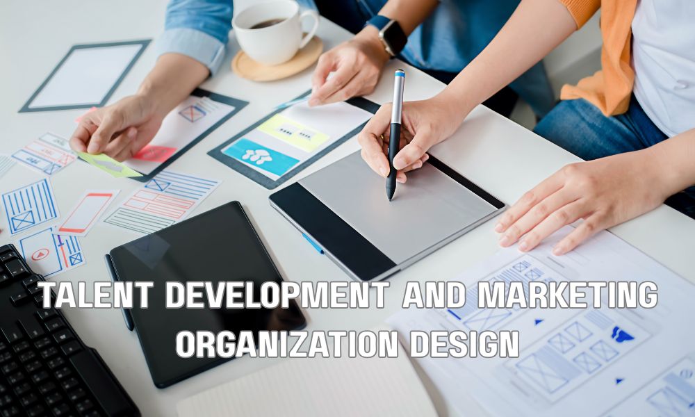 Talent Development And Marketing Organization Design
