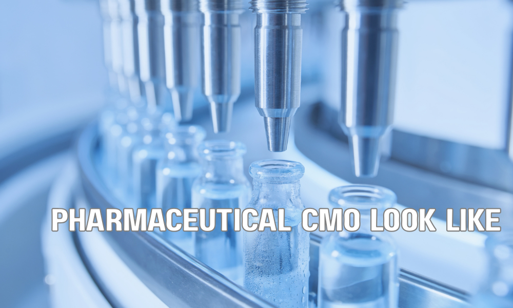 What Would Your First 90 Days As Our Pharmaceutical CMO Look Like