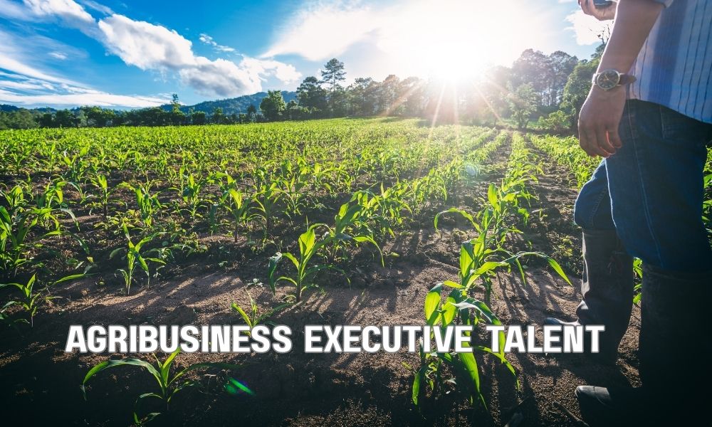 Agribusiness Executive Talent