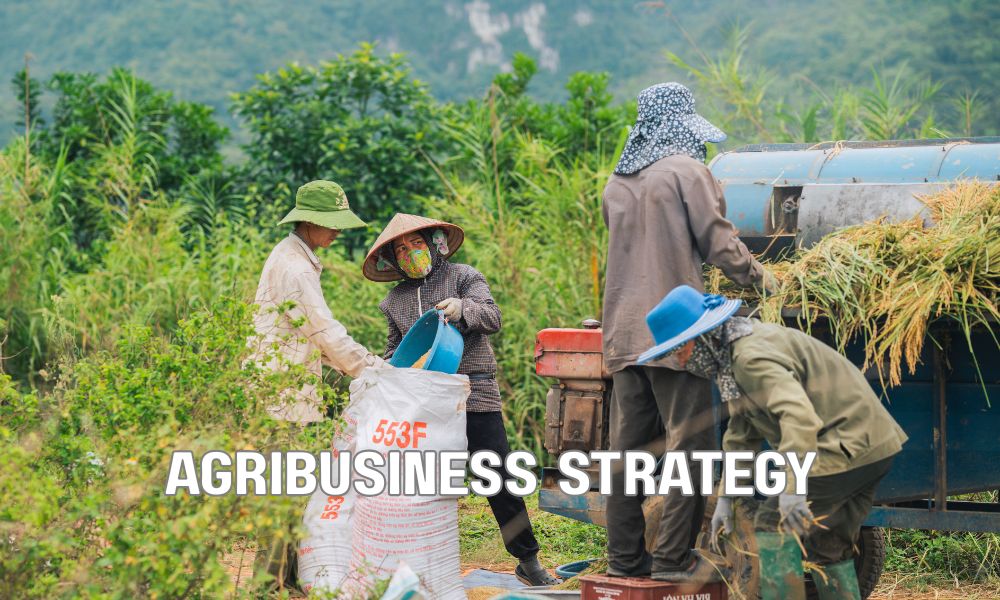 Agribusiness Strategy