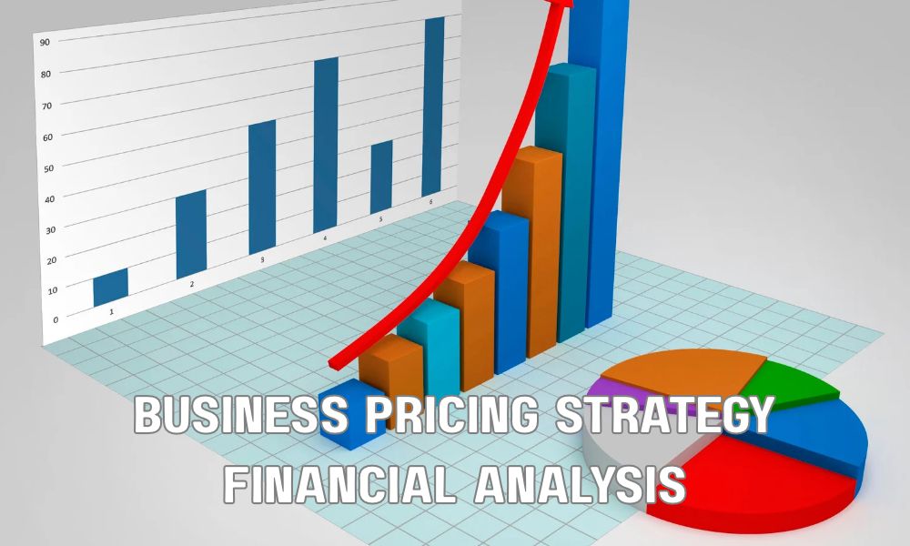 Business Pricing Strategy Financial Analysis