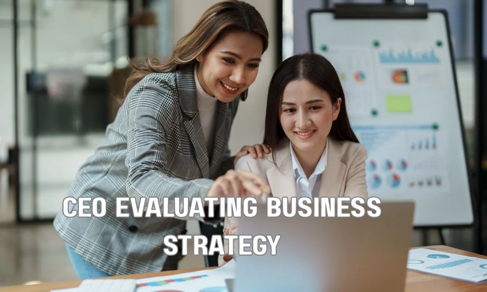 CEO Evaluating Business Strategy