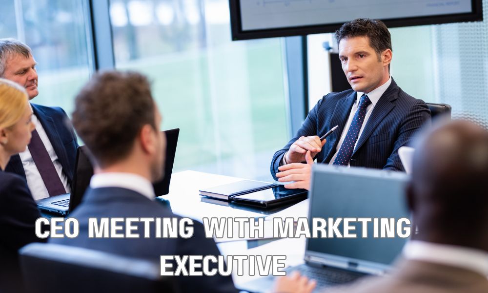CEO Meeting With Marketing Executive